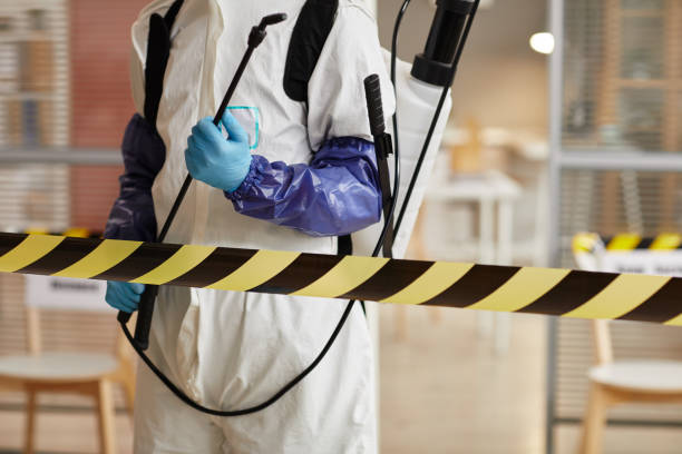 Professional Sewage Cleanup technician working in La Plata, MO